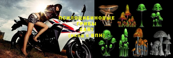 PSILOCYBIN Медногорск