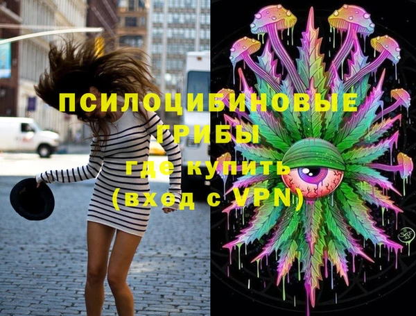 амф Мегион