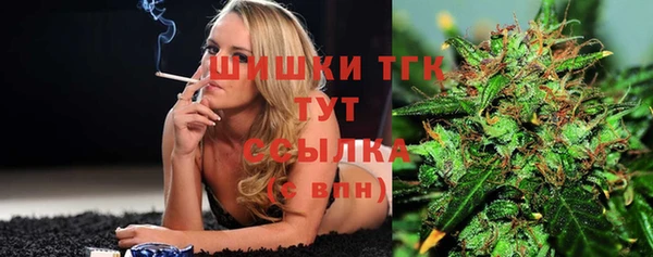 амф Мегион