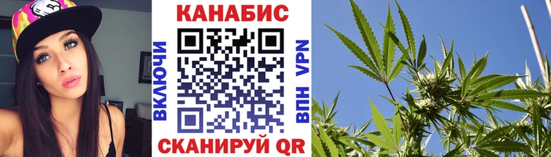 Конопля индика Краснознаменск